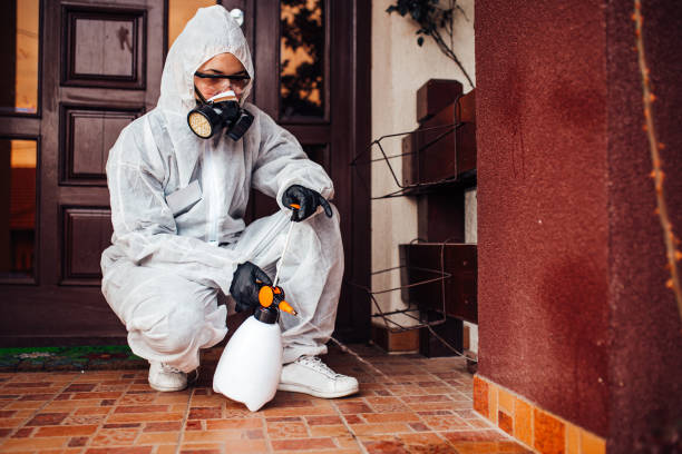 Reliable Wasp Removal contractor in Hornell, NY by Show Me Pest Control
